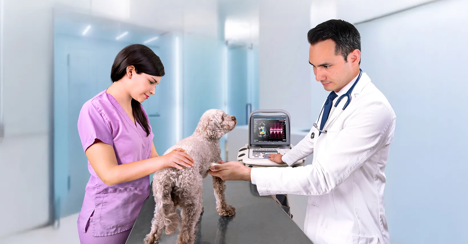 Maestría en Cardiología Veterinaria